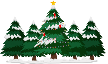 Real Christmas Tree Farms Near Me Locations in 2025