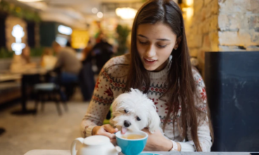 Dog Friendly Restaurants Near Me – Best Places To Take Your Dog